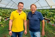 Der Vorkoster mit Tunnelblick? Bj&ouml;rn Freitag (r.) erf&auml;hrt von Volker Feiser (l.) im Folientunnel, was f&uuml;r den Anbau von Erdbeeren wichtig ist.