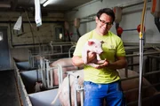 Simon Donhauser ist Ferkelzüchter in Kümmersbruck in Bayern, am Stadtrand von Amberg. Simon Donhauser ist Ferkelzüchter in Kümmersbruck in Bayern, am Stadtrand von Amberg.