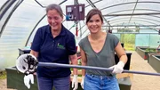 In der Blutegelzucht zeigt Ärztin Dorle Anna (rechts) die vielen Blutegel, die hier für medizinische Zwecke gezüchtet werden. (Dr. Dorle Schmidt) In der Blutegelzucht zeigt Ärztin Dorle Anna (rechts) die vielen Blutegel, die hier für medizinische Zwecke gezüchtet werden. (Dr. Dorle Schmidt)