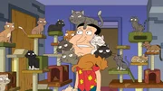 Glenn Quagmire