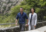Steve McGarrett (Alex O'Loughlin, l.); Greer (Rochelle Aytes, r.)