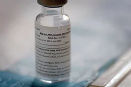 Bisher ist nur ein einziger Impfstoff gegen Malaria zugelassen. Nun werden alle Hoffnungen in einen neuen Impfstoff gesetzt, der eine 75-prozentige Wirksamkeit erreichen k&ouml;nnte.