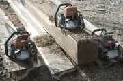 Die Motorsägen der Holzfäller sind deutsche Markenware. Die Motorsägen der Holzfäller sind deutsche Markenware.