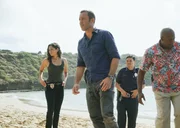 (v.l.n.r.) Tani Rey (Meaghan Rath); Steve McGarrett (Alex O'Loughlin); Pua Kai (Shawn Thomsen); Lou Grover (Chi McBride) (v.l.n.r.) Tani Rey (Meaghan Rath); Steve McGarrett (Alex O'Loughlin); Pua Kai (Shawn Thomsen); Lou Grover (Chi McBride)