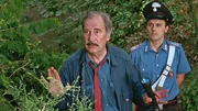 Todini (Mario Erpichini), Brigadiere Peitro Ghisoni (Pietro Pulcini)