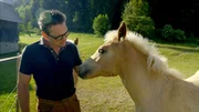Arnoldstein - Haflingerbauer Albert Lientschnig auf seiner Pferdealm.