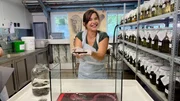 Anna darf helfen, die Blutegel zu füttern. Die Moderatorin staunt, wie viel größer ein Egel ist, nachdem er Blut getrunken hat. Anna darf helfen, die Blutegel zu füttern. Die Moderatorin staunt, wie viel größer ein Egel ist, nachdem er Blut getrunken hat.