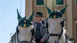 Fiaker mit seinen Pferden vor dem Schloss Sch&ouml;nbrunn.