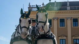 Fiaker mit seinen Pferden vor dem Schloss Sch&ouml;nbrunn.