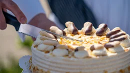 Eine Malakofftorte darf am feinen Kuchenbuffet f&uuml;r den Adel nicht fehlen.