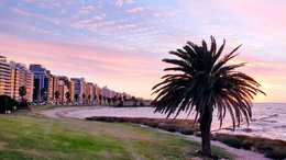 Das Leben in Montevideo wirkt wie in ganz Uruguay entspannt, und ist kaum vergleichbar mit dem Trubel anderer Metropolen.