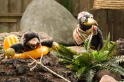 Rudi (Lennart Morgenstern) koordiniert eine Rettungsaktion f&uuml;r Grete (Viviane Podlich). Denn die steckt in ihrem Schwimmreifen und im Maulwurfsh&uuml;gel fest!