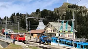 In Rigi Staffel teilt sich die Strecke. Die roten Z&uuml;ge fahren nach Vitznau, die blauen nach Goldau.