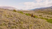 Arcilio Sep&uacute;lveda macht sich im Namen der Stiftung Rewilding Chile auf die Suche nach der gr&ouml;&szlig;ten Katze S&uuml;damerikas, dem Puma.
