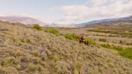 Arcilio Sep&uacute;lveda macht sich im Namen der Stiftung Rewilding Chile auf die Suche nach der gr&ouml;&szlig;ten Katze S&uuml;damerikas, dem Puma.