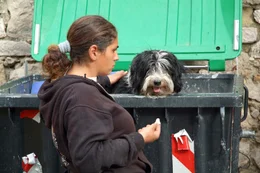 Hundetrainerin.