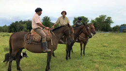 Gauchos sind die die Cowboys S&uuml;damerikas und kleiden sich traditionell, wie schon ihre V&auml;ter und Urgro&szlig;v&auml;ter.