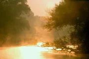 Nebel &uuml;ber dem Mauthnerwasser.