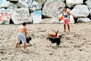 Spielzene am Strand mit Fu&szlig;ballern und den Hunden und "Terroni", "Bartolo" und "Leopardi".