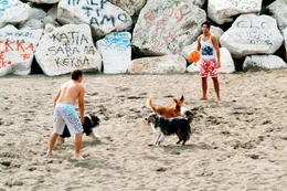 Spielzene am Strand mit Fu&szlig;ballern und den Hunden und "Terroni", "Bartolo" und "Leopardi".