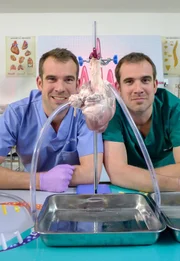 (v.li.): Chris van Tulleken (Dr. Chris), Xand van Tulleken (Dr. Xand). (v.li.): Chris van Tulleken (Dr. Chris), Xand van Tulleken (Dr. Xand).