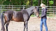 Merlin und Katja Schnabel beim Roundpen-Training. Merlin und Katja Schnabel beim Roundpen-Training.