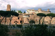 Wenn man im 1. Jahrhundert nach Christus durch die Ewige Stadt ging, hielt man sich am besten die Nase zu, denn aus den Gassen des Forum Romanum stieg ein strenger Geruch auf.
