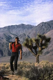 Dolph Lundgren