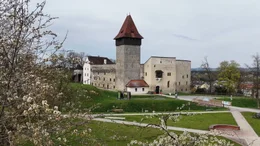 Im Schloss Ulmerfeld zeigt eine Ausstellung die Kraft des Wassers