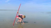 Sarah (6 Jahre) ist eine echte Watt-Expertin. Besonders fasziniert ist sie von den Krebsen, die sie auf ihrer Wanderung findet. Ihren roten Stock hat sie auf Wanderungen durchs Wasser immer dabei.