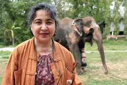 1993 gr&uuml;ndete Soraida Salwala im Norden Thailands das erste Elefantenkrankenhaus des Landes. Finanziert wird es bis heute ausschlie&szlig;lich durch private Spenden.