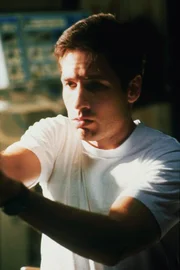 Fox Mulder (David Duchovny) Fox Mulder (David Duchovny)