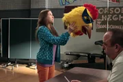 Sue (Eden Sher, l.) will Mr. Farrar (Christopher Darga, r.) davon &uuml;berzeugen, dass sie die Richtige ist, um das Maskottchen des Footballteams zu repr&auml;sentieren. In der Zwischenzeit wollen Frankie und Mike mithilfe eines Hasen Brick Sozialkompetenz zu beibringen; mit ungeahnten Folgen ...