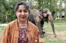 1993 gr&uuml;ndete Soraida Salwala im Norden Thailands das erste Elefantenkrankenhaus des Landes. Finanziert wird es bis heute ausschlie&szlig;lich durch private Spenden.