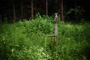 A general view on the set during the shooting at the Schorfheide for the new local production 'Wigald & Fritz - Die Geschichtsjaeger' by the German TV channel HISTORY.