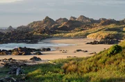Tasmanien beeindruckt mit seinen wilden Küsten, hohen Bergen und einzigartigen Hochebenen. Vor rund 12.000 Jahren wurde die Insel von Australien getrennt und entwickelte seither ihre eigenen Naturräume. Tasmanien beeindruckt mit seinen wilden Küsten, hohen Bergen und einzigartigen Hochebenen. Vor rund 12.000 Jahren wurde die Insel von Australien getrennt und entwickelte seither ihre eigenen Naturräume.