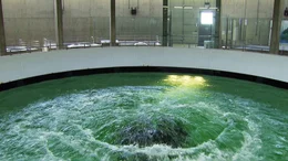 Bis zu 9.000 Liter Bodenseewasser pro Sekunde sprudeln ins das gewaltige Quell-Becken der Bodensee- Wasserversorgung Sipplingen (D).