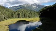 Brandsee.
