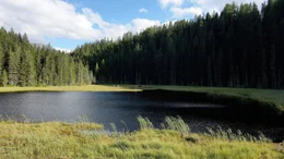 Brandsee.