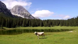 Igelsee Ausserfern.