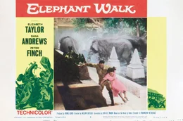 Da das Anwesen von John Wiley (Peter Finch) und seiner Frau Ruth (Elizabeth Taylor) auf einem alten Wanderpfad der Elefanten errichtet wurde, kommt es immer wieder zu Zusammenst&ouml;&szlig;en.