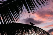 Faszination Wasser Zauber der Korallenriffe &ndash; Chagos-Archipel Sonnenuntergang