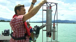 Seit den 1980ziger Jahren ist der Phosphorgehalt im Bodensee drastisch gesunken, der See hat Trinkwasserqualit&auml;t, die Algenbildung ist stark zur&uuml;ckgegangen.