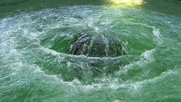 5,5 Millionen Menschen in S&uuml;ddeutschland und der Schweiz beziehen ihr Wasser aus dem Bodensee.