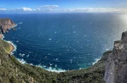 Die raue, zerklüftete Küste Tasmaniens ist die Heimat vieler Tierarten, die es nur noch hier gibt. Die raue, zerklüftete Küste Tasmaniens ist die Heimat vieler Tierarten, die es nur noch hier gibt.