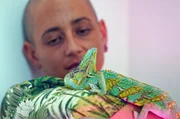 Menschen und ihre Beziehung zu einem ungewöhnlichen Haustier sind das Thema von Diana Bagnolis Fotoserie "Animal Lovers". Oft sind die Tiere von den porträtierten Menschen gerettet worden. Menschen und ihre Beziehung zu einem ungewöhnlichen Haustier sind das Thema von Diana Bagnolis Fotoserie "Animal Lovers". Oft sind die Tiere von den porträtierten Menschen gerettet worden.