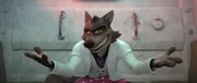 Mr. Wolf