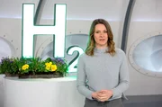 Milliarden sollen in Zukunft in „grünen“ Wasserstoff investiert werden. Die Technologie wird von der Bundesregierung als ein Schlüssel im Kampf gegen den Klimawandel gesehen. Anja Reschke beleuchtet welche Chancen, aber auch welche Hürden in dieser Technologie liegen, in „Wissen vor acht - Zukunft“ Milliarden sollen in Zukunft in „grünen“ Wasserstoff investiert werden. Die Technologie wird von der Bundesregierung als ein Schlüssel im Kampf gegen den Klimawandel gesehen. Anja Reschke beleuchtet welche Chancen, aber auch welche Hürden in dieser Technologie liegen, in „Wissen vor acht - Zukunft“
