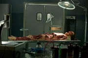 Hunderte von Ratten haben den Geigenlehrer Paul Lawson (Ted deChatelet) get&ouml;tet und &uuml;bel zugerichtet. Wer hat die Nagetiere auf ihn angesetzt?