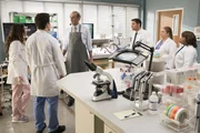 (v.l.n.r.) Dr. Carina DeLuca (Stefania Spampinato); Dr. Andrew DeLuca (Giacomo Gianniotti); Dr. Vincenzo DeLuca (Lorenzo Caccialanza); Dr. Alex Karev (Justin Chambers); Dr. Taryn Helm (Jaicy Elliot); Dr. Miranda Bailey (Chandra Wilson) (v.l.n.r.) Dr. Carina DeLuca (Stefania Spampinato); Dr. Andrew DeLuca (Giacomo Gianniotti); Dr. Vincenzo DeLuca (Lorenzo Caccialanza); Dr. Alex Karev (Justin Chambers); Dr. Taryn Helm (Jaicy Elliot); Dr. Miranda Bailey (Chandra Wilson)
